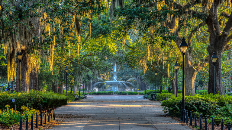 Savannah: cómo llegar a la ciudad de las 22 plazas y los robles con musgo