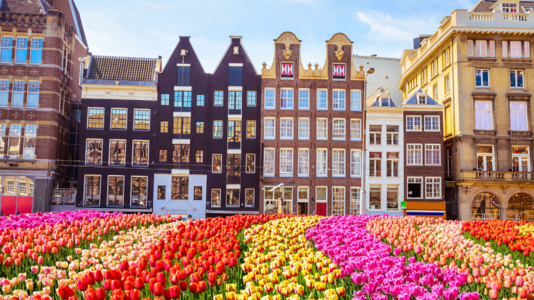 Ámsterdam por 131€ ida y vuelta desde Málaga: una semana completa en Países Bajos