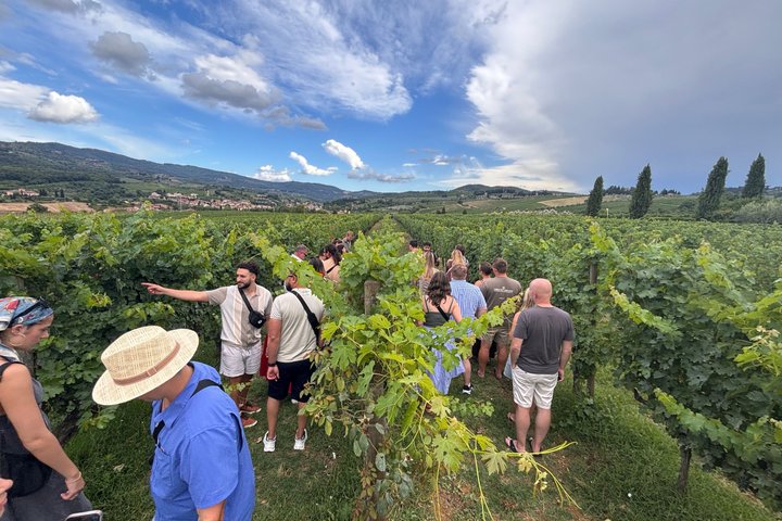 Cata de vinos en la Toscana desde Florencia por 89€