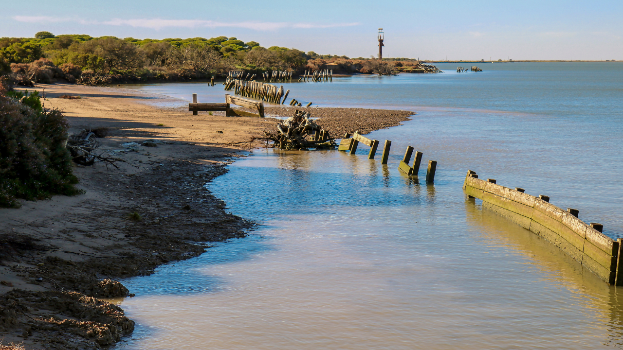 Dormir en El Rocío y recorrer los alrededores de Doñana a caballo por 172,50€ por persona