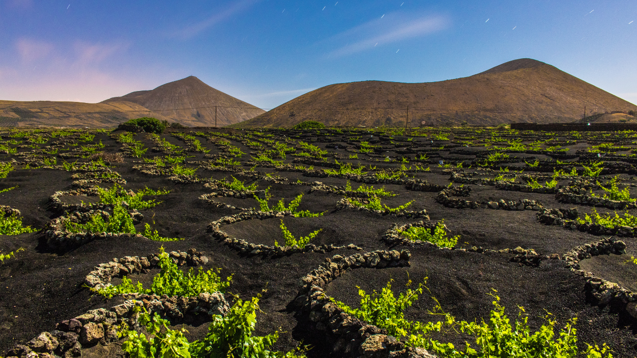 Recorrer los paisajes volcánicos de Lanzarote en buggy desde 45€ por persona si vais cuatro