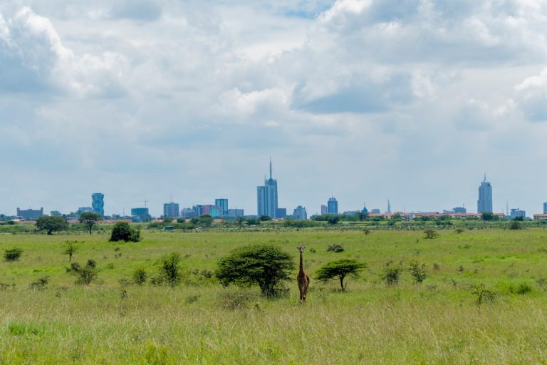 Jirafa y skyline de Nairobi, Kenia