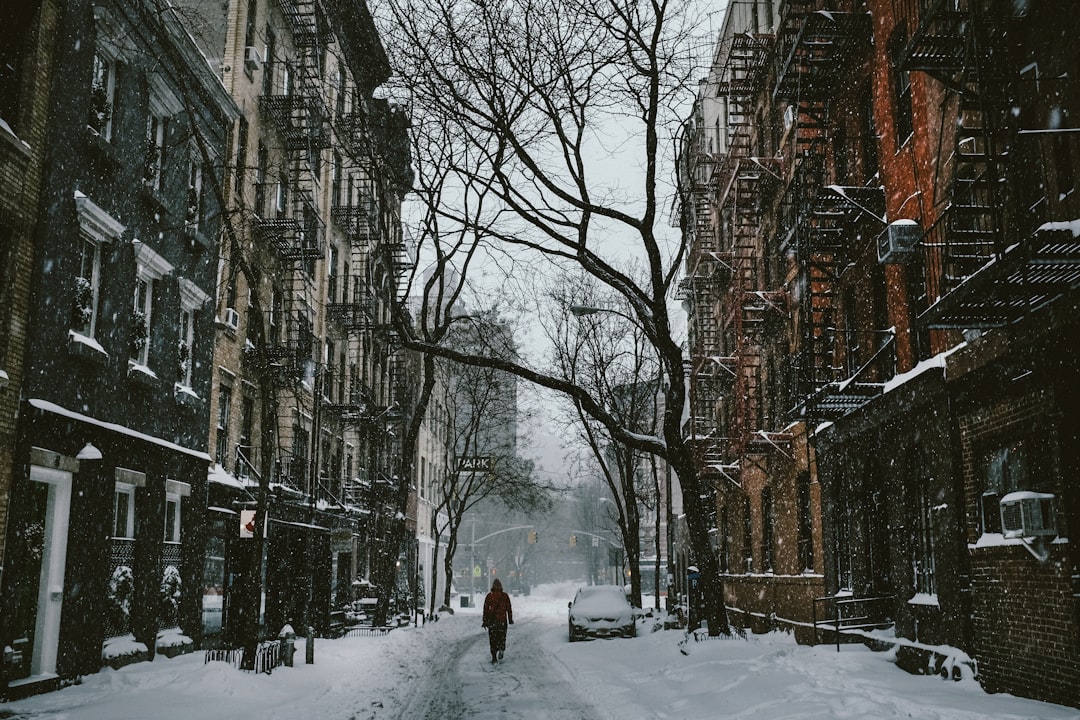 Nueva York en invierno, portada de la oferta de Fin de Año