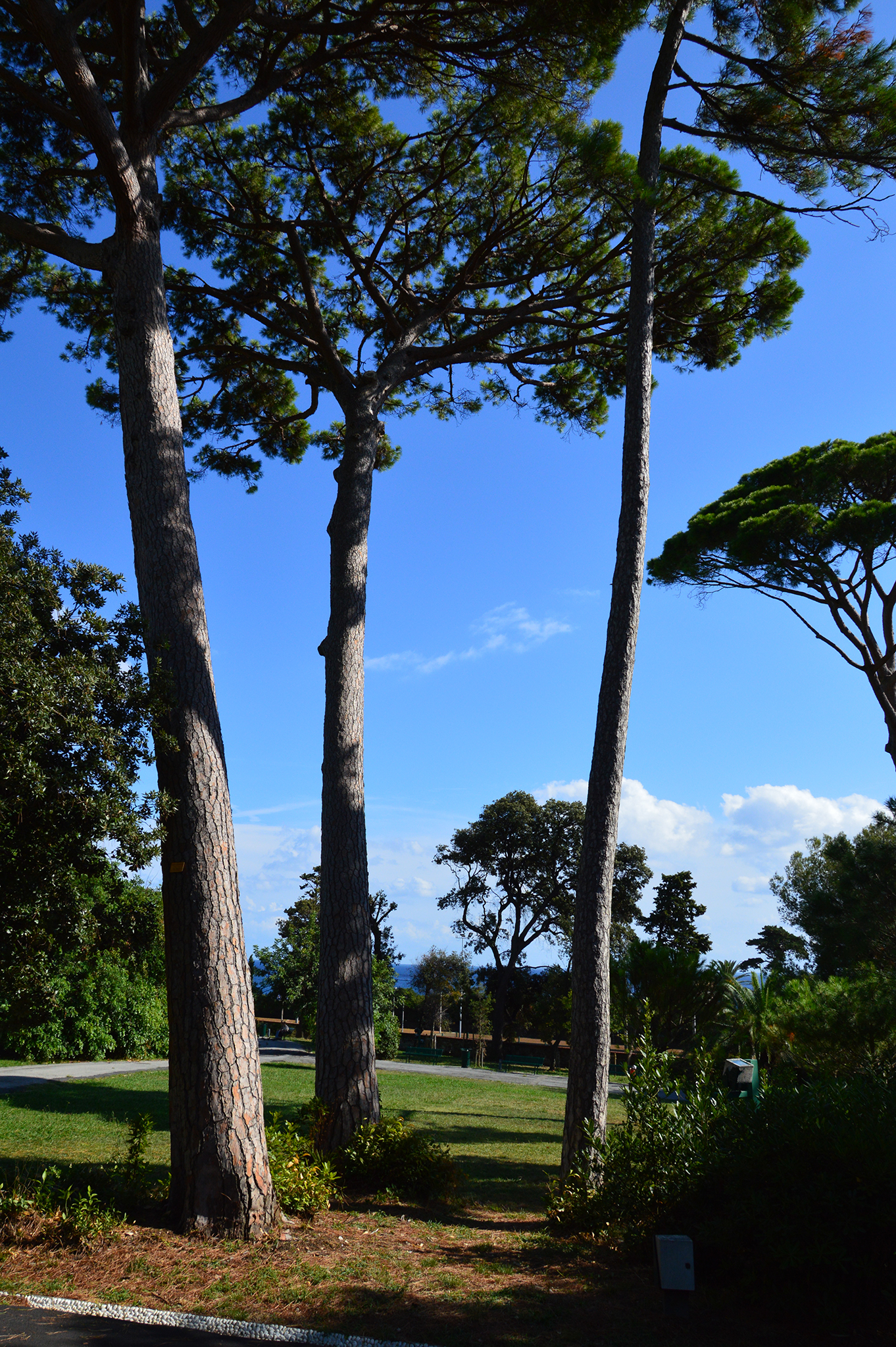 Jardines de los Parchi di Nervi en Génova