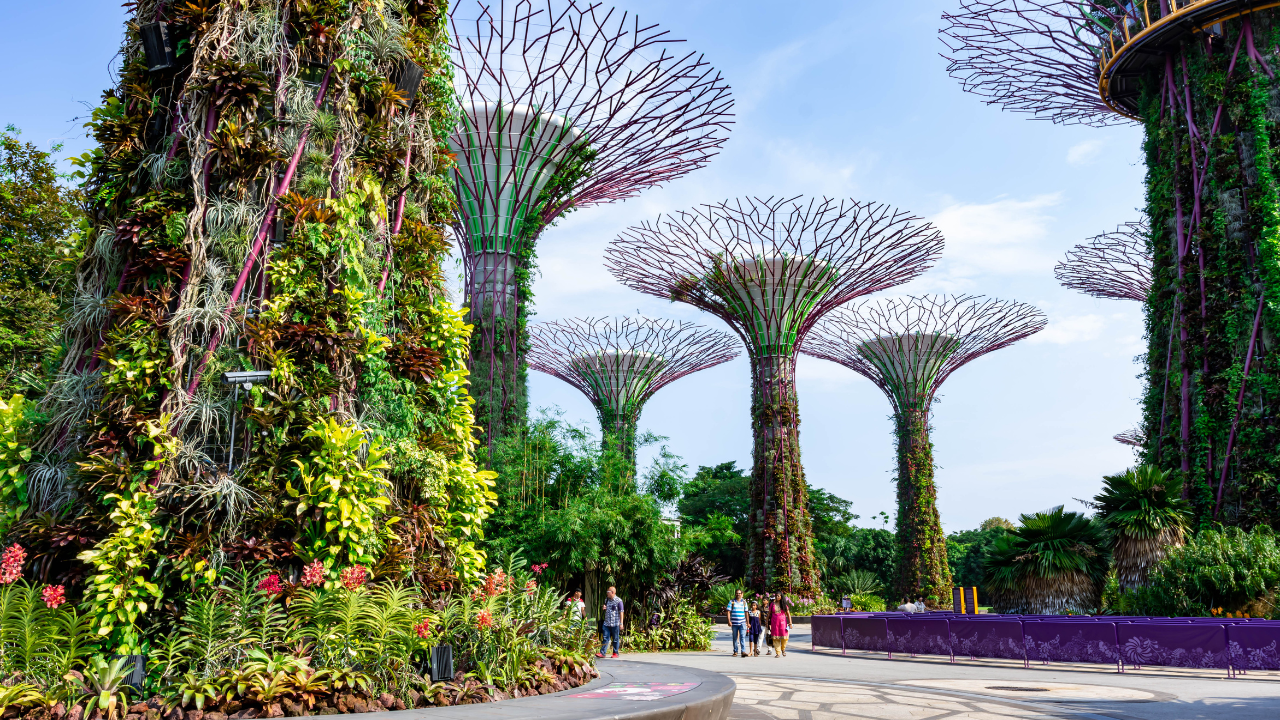 Singapur por 469€ ida y vuelta desde Madrid: dos semanas para convertir la ciudad en puerta de Asia