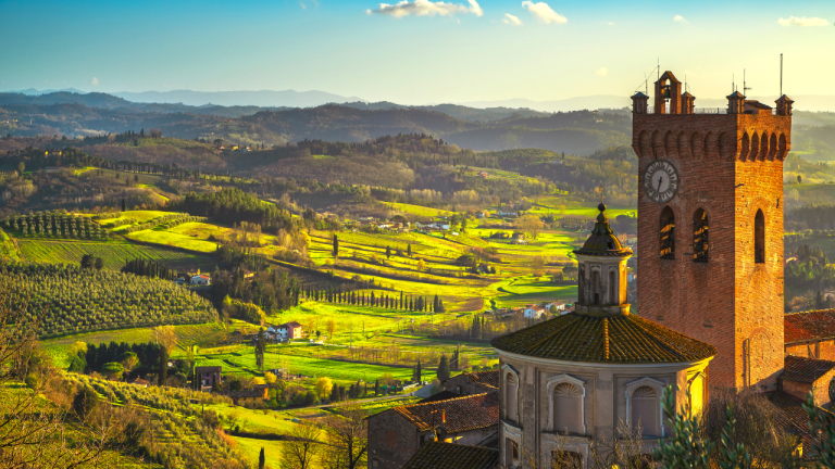 Cazar trufas en San Gimignano por 90€: dos horas siguiendo perros por la Toscana