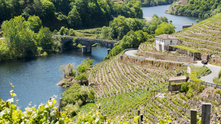Ribeira Sacra en diciembre: dos noches con desayuno y vistas al río por 80€ por persona