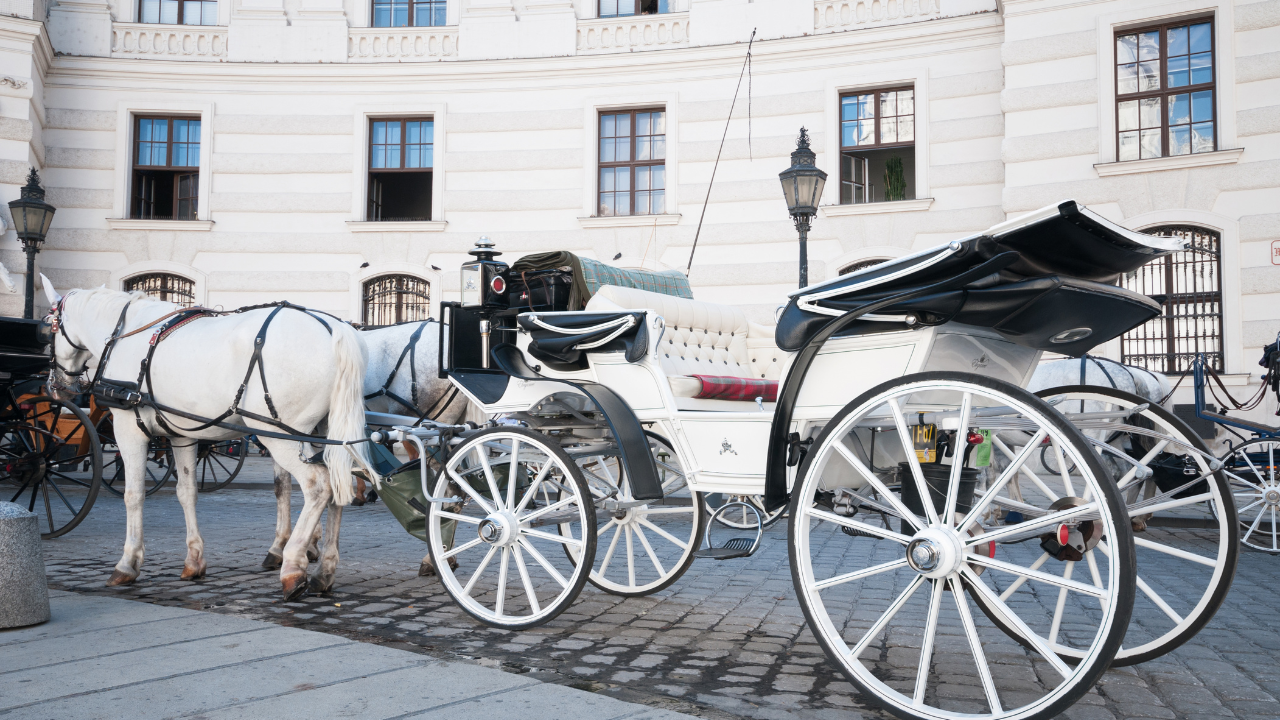Viena