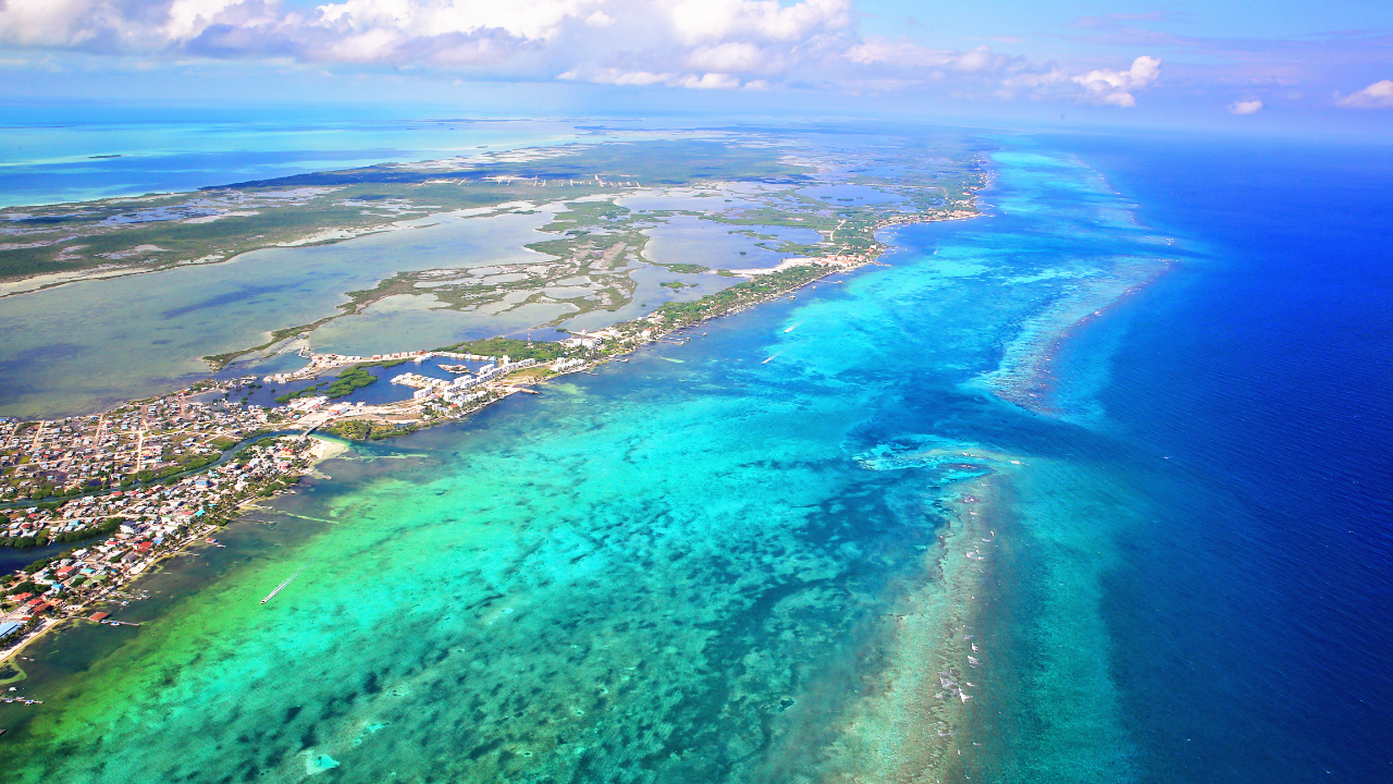 Belice