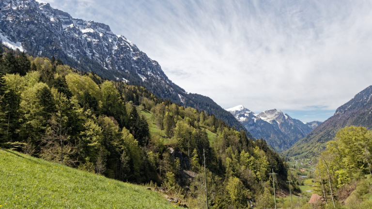 Canyon swing en Grindelwald por 150 €: un salto desde una plataforma sobre un cañón alpino