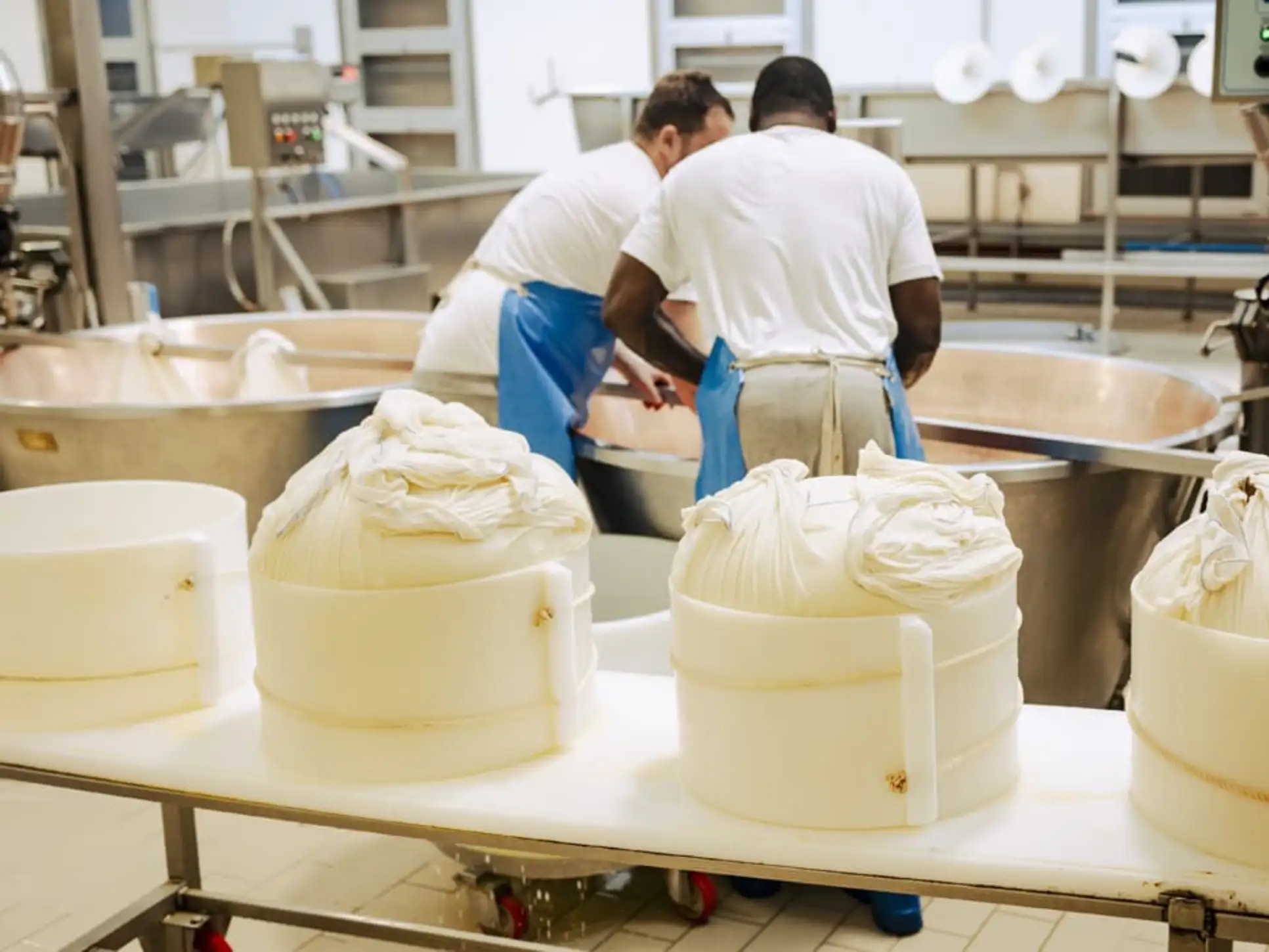 Elaboración de Parmigiano Reggiano