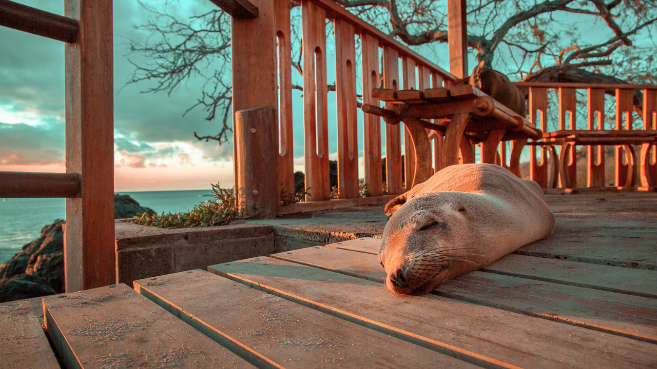 Islas Galápagos, Ecuador