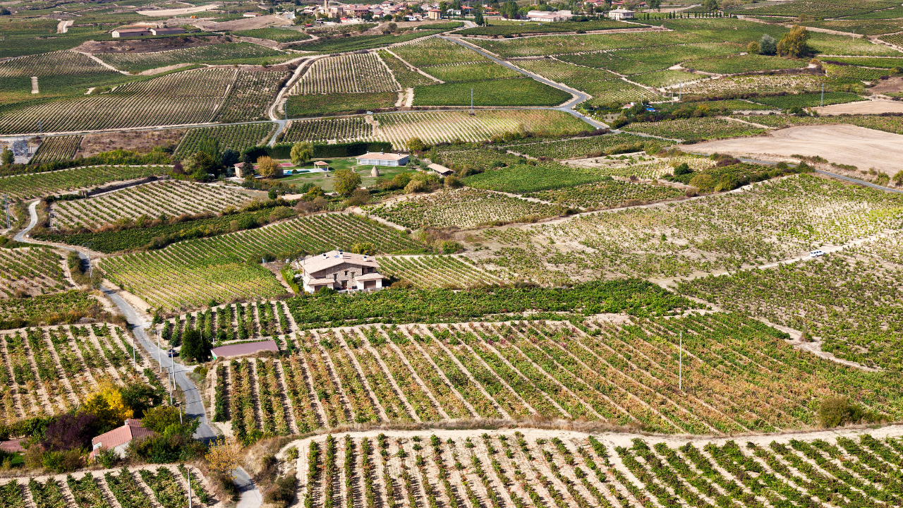 Laguardia, Rioja Alavesa