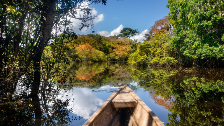 Bogotá–Leticia por 124 € ida y vuelta: vuelos directos para empezar un viaje por el Amazonas colombiano