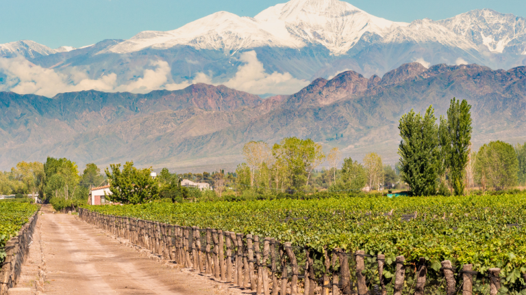 Santiago–Mendoza por 144 € ida y vuelta: una semana entre vino, ciudad y Andes