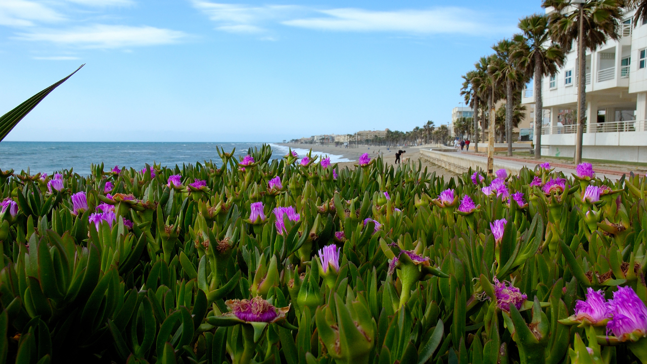 Roquetas de Mar