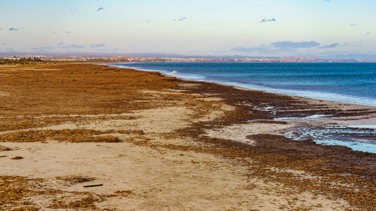 San Pedro del Pinatar