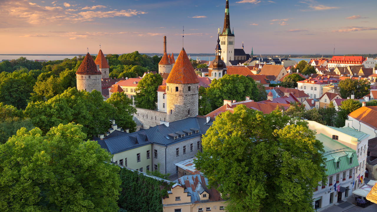 Tallin